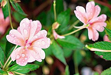 《极限竞速：地平线5》全新演示 展示游戏内汽车音效